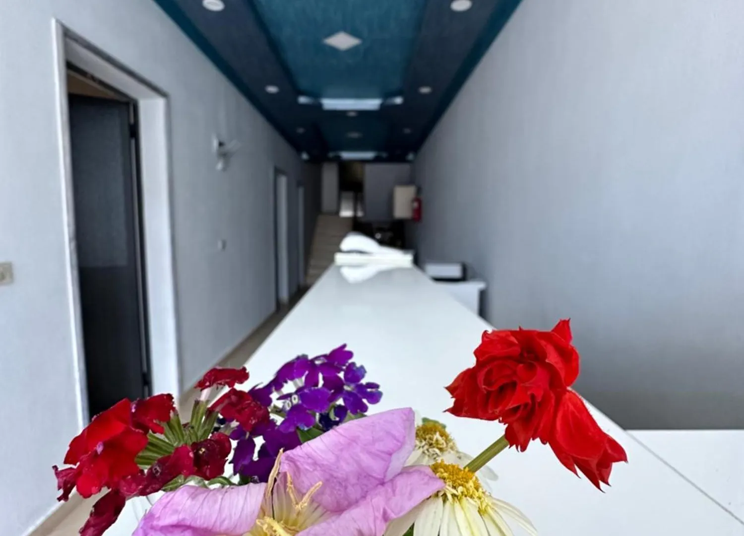 Hotel 24 Velipojë 3*,